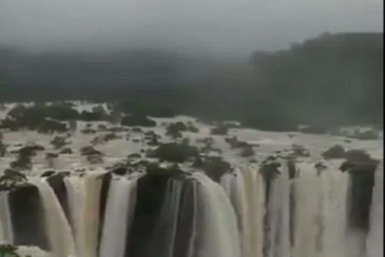 Viral Video: Not Niagara Falls, This Beautiful View Can Be Found Here in Karnataka's Shimoga